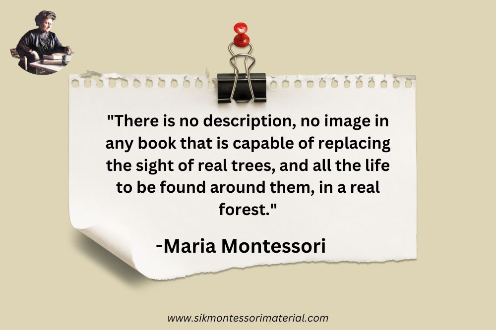 Inspirational Maria Montessori Quotes
