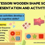 Montessori Wooden Shape Sorter Presentation and Activities