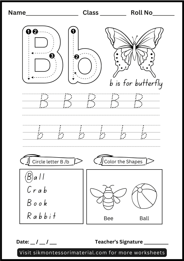 Alphabet Letter B Tracing and Recognition Worksheet for Montessori