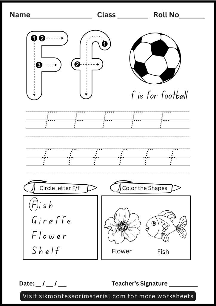 Alphabet Letter F Tracing and Recognition Worksheet for Montessori