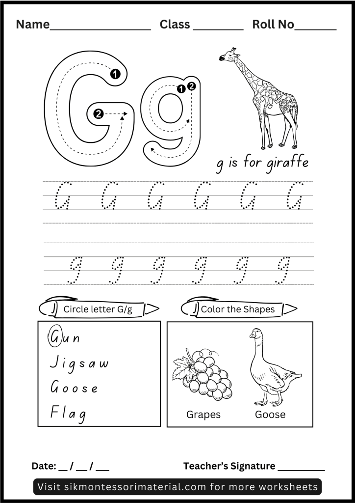 Alphabet Letter G Tracing and Recognition Worksheet for Montessori