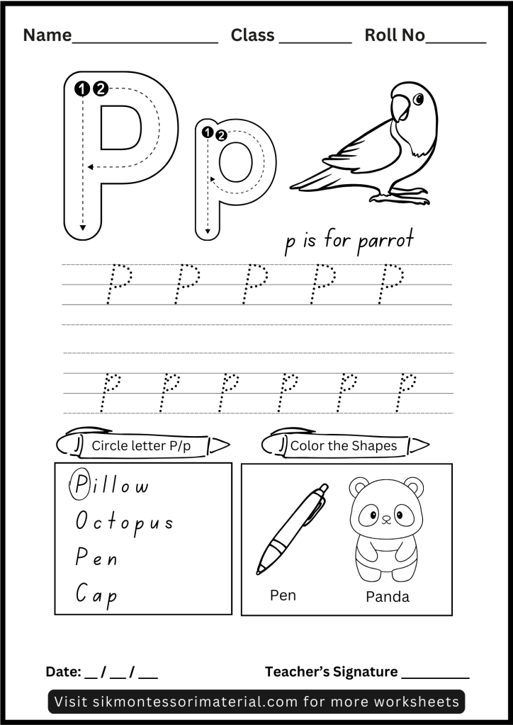 Alphabet Letter P Tracing and Recognition Worksheet for Montessori