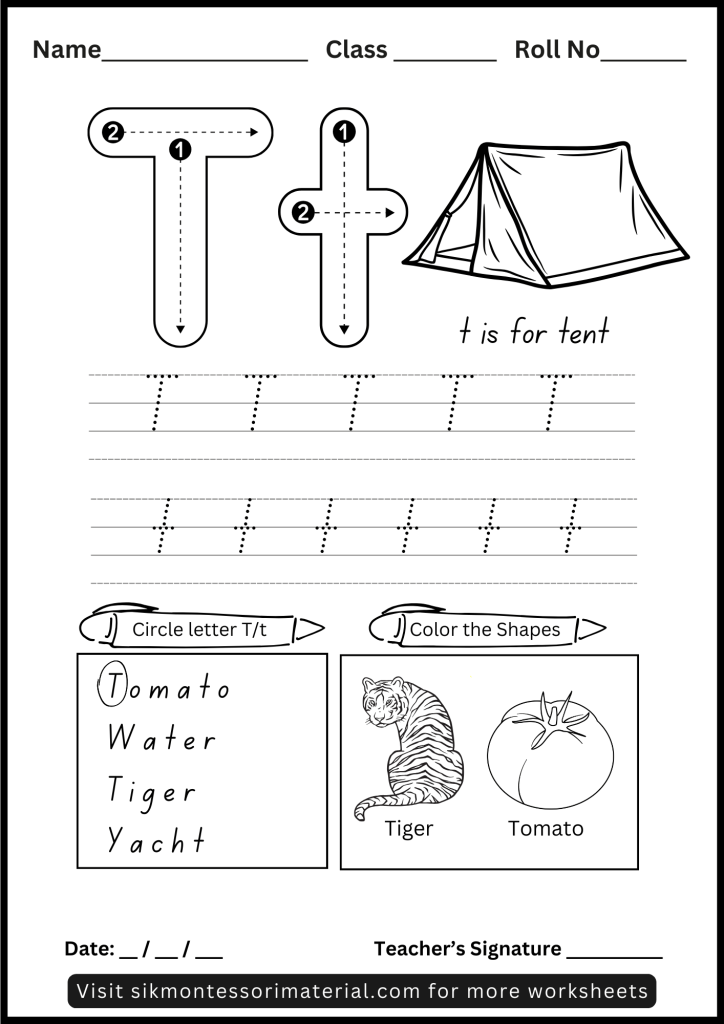 Alphabet Letter T Tracing and Recognition Worksheet for Montessori