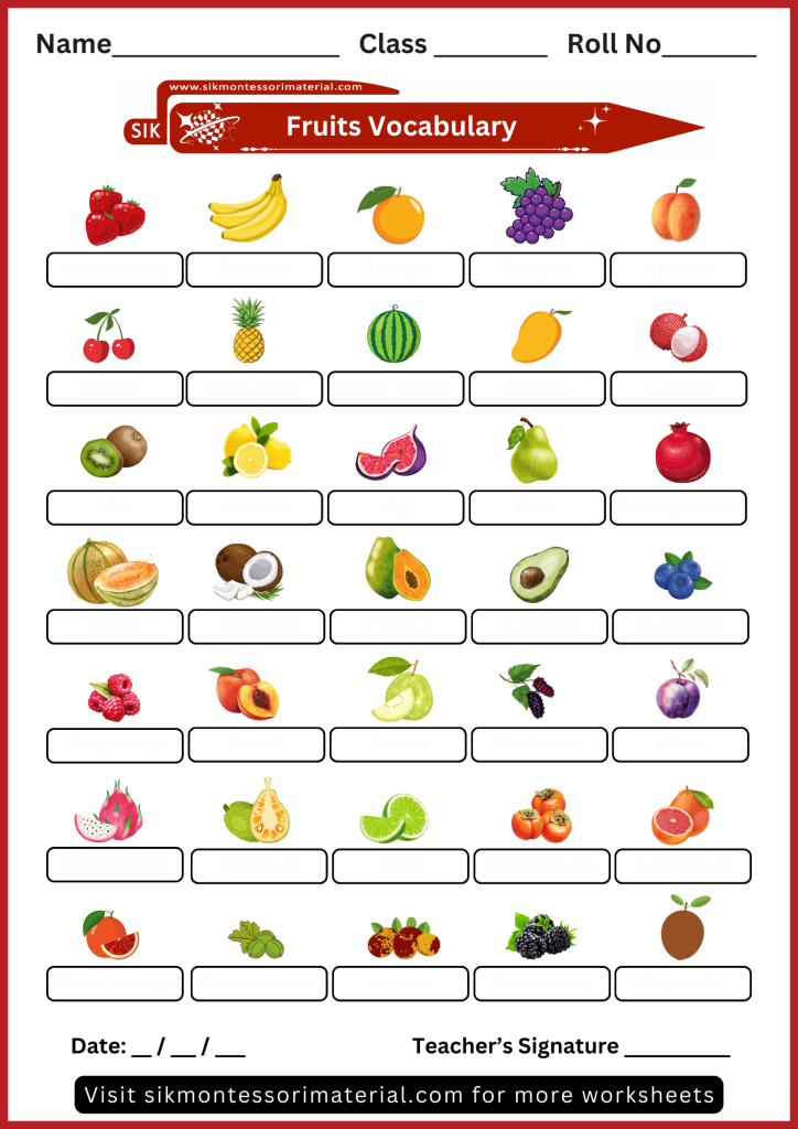 Fruits names activity worksheets