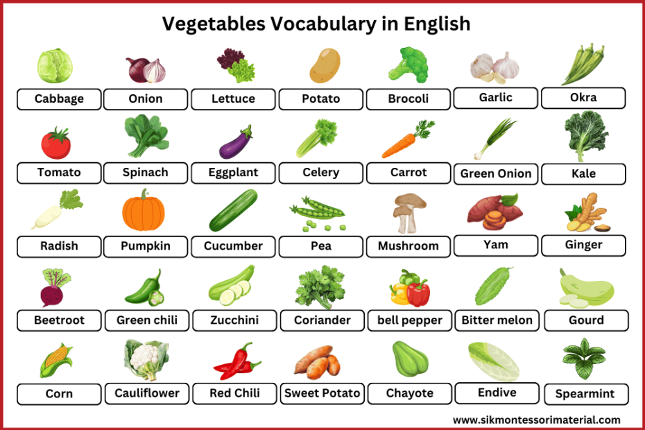 vegetable names in English - vegetable vocabulary